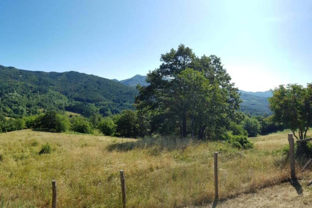 La Sala Vecchia - Lovely Tuscan Holiday House Badia Prataglia, Casentino Valley คิวซี เดลลา แวร์นา ภายนอก รูปภาพ