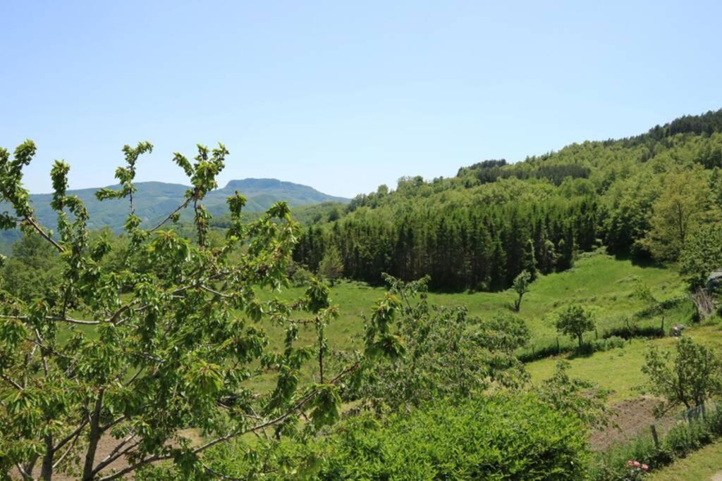 La Sala Vecchia - Lovely Tuscan Holiday House Badia Prataglia, Casentino Valley คิวซี เดลลา แวร์นา ภายนอก รูปภาพ