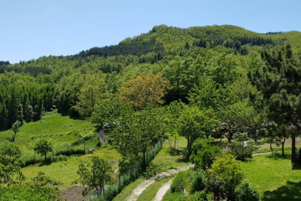 La Sala Vecchia - Lovely Tuscan Holiday House Badia Prataglia, Casentino Valley คิวซี เดลลา แวร์นา ภายนอก รูปภาพ