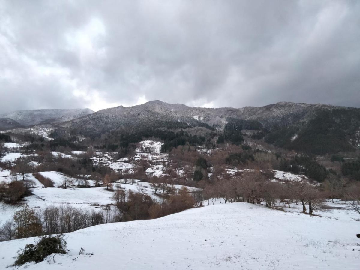 La Sala Vecchia - Lovely Tuscan Holiday House Badia Prataglia, Casentino Valley คิวซี เดลลา แวร์นา ภายนอก รูปภาพ