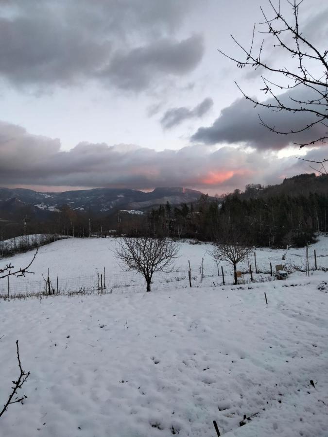 La Sala Vecchia - Lovely Tuscan Holiday House Badia Prataglia, Casentino Valley คิวซี เดลลา แวร์นา ภายนอก รูปภาพ