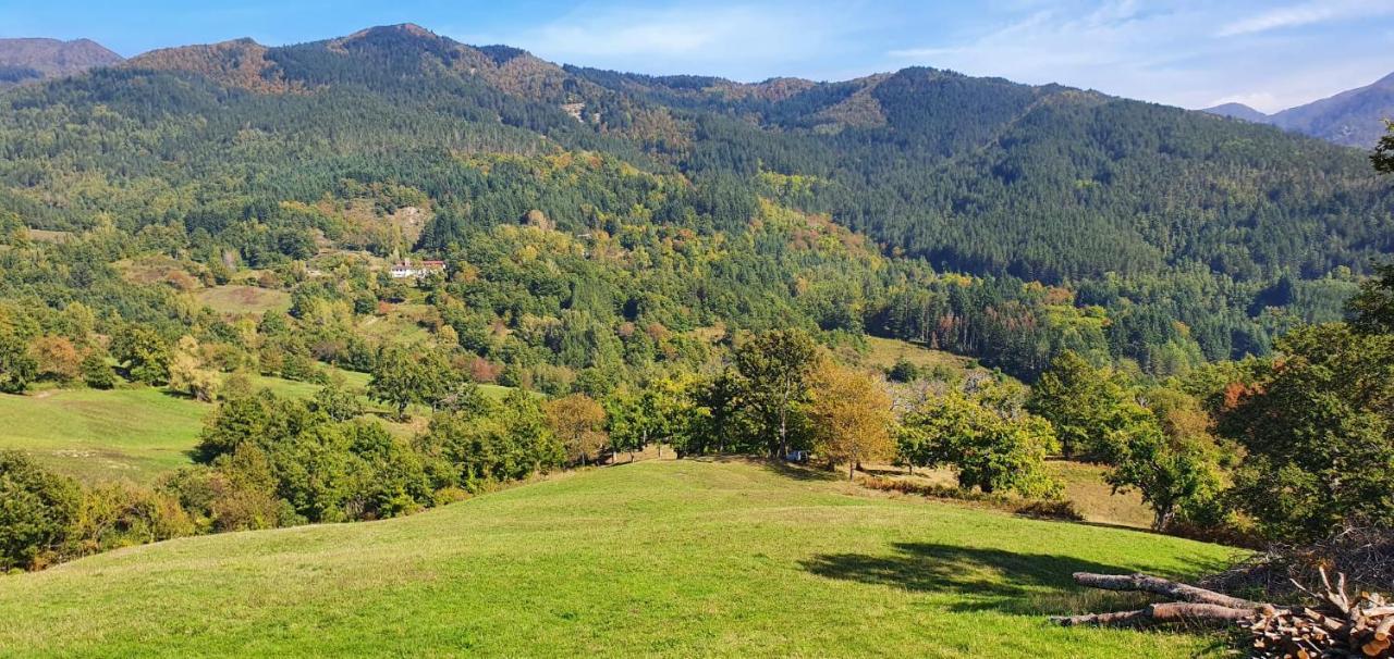 La Sala Vecchia - Lovely Tuscan Holiday House Badia Prataglia, Casentino Valley คิวซี เดลลา แวร์นา ภายนอก รูปภาพ